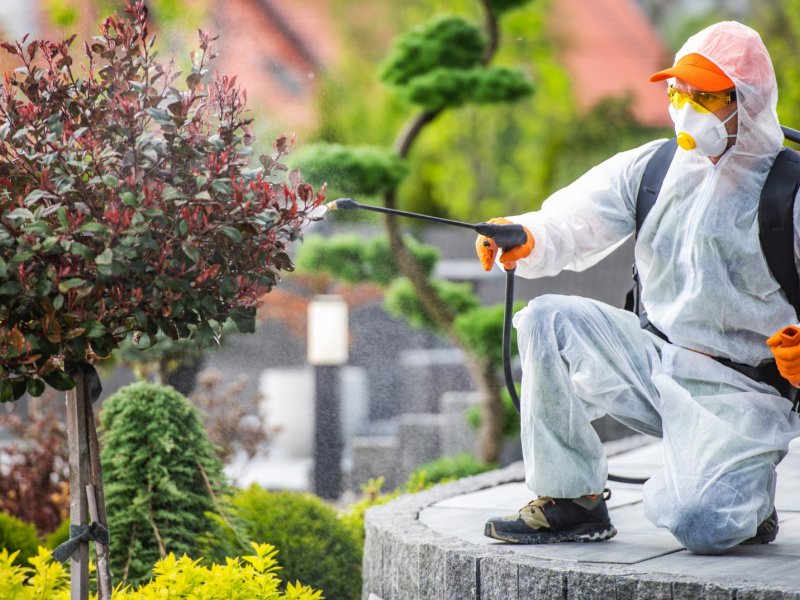 Tuzla Haşere İlaçlama